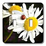 Patricia Sanders Flowers - daisies with a ladybug - Light Switch Covers - double toggle switch