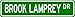 BROOK LAMPREY Street Sign ~ Fishing ~ Great Fish Sign for your Lodge, Gameroom, Basement, Garage, Barn