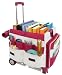 41dW41cc wL. SL75  Rubbermaid Utility Cart   A Household Name You Can Trust