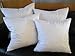 Bed of Roses - Set of Two - 20