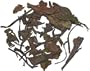Longevity Brow White Tea, 4oz.
