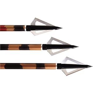 Allen Company Grizzly Three Blade Broadheads, 125 Grain