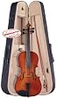 Palatino Campus Violin Outfit, VN-350 1/2