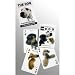 The Dog Playing Cards