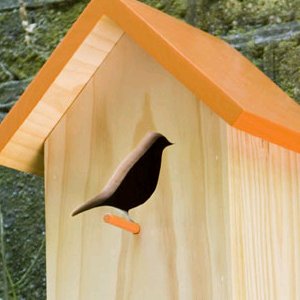 Bird@Home Modern Wood Bird House - Orange