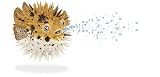 41dWsH4LJOL. SL160  Puffer fish