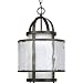 Progress Lighting P3701-20 1-Light Bay Court Foyer Fixture, Antique Bronze