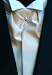 Ascot Tuxedo Tie - Solid Fusion "Very Chic"! Color Ivory