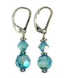 Silver Aqua Leverback Earrings