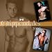 Chippendales 16 Month 2008 Wall Calendar