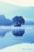 Praying Through Our Losses: Meditations for Those Who Are Grieving
