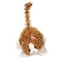 Webkinz Collectible Lil'Kinz Mini Plush Stuffed Animals Striped Alley Cat