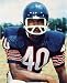 Gale Sayers Chicago Bears 8x10 Photo