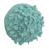 Evas Hydrangea Flower Decorative Throw Pillow. 13 Inch Round. (Aqua, One Size)