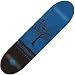 Birdhouse B Ace - Beginning Skateboard Deck - 7.75 in. x 31.69 in. - Blue
