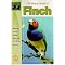 Finches