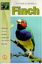 The Guide to Owning a Finch