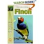 The Guide to Owning a Finch
