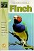 The Guide to Owning a Finch