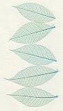 Skeleton Leaves- Pack of 15 Pearl Blue Mini Rubber Tree Leaves