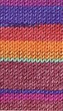 Regia 4 Ply Wool Kaffe Fassett Landscape Celeration 4355 Yarn