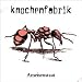 Ameisenstaat (Re-Issue) [Vinyl LP]