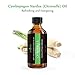 Anjou Aromatherapy Citronella 10mL Essential Oils