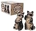 Salt & Pepper Shaker Set Raccoon