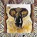 African Jungle Safari Animal Prints - 24 Wall Accent Stickers / Decals