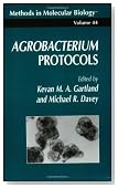 Agrobacterium Protocols (Methods in Molecular Biology (Cloth))