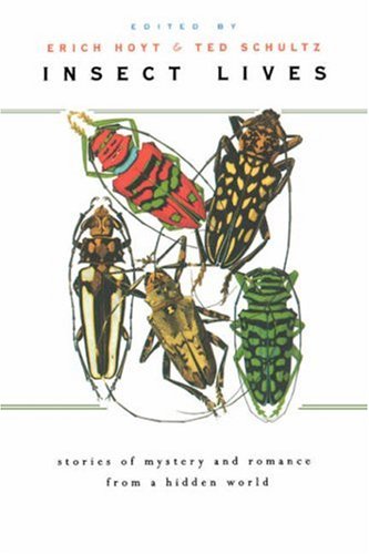 Insect Lives: Stories of Mystery and Romance from a Hidden World