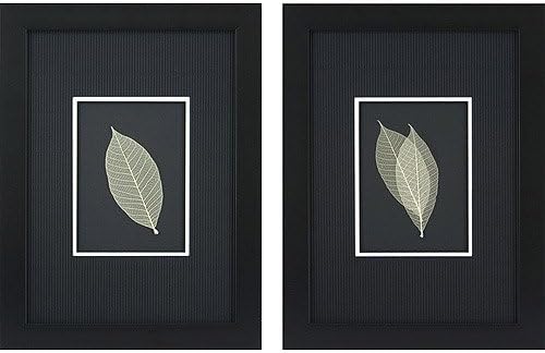 Skeleton Leaves on Black Framed Art, Set of 2 - Wall Décor - Bedroom, Living Room, Hallway, Kitchen or Bathroom Decor - Polystyrene and Glass Face - Attractive Black Background That Gives a Contemporary Vibe