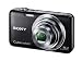 SONY Cybershot DSC-WX30 (Black) [JAPAN]