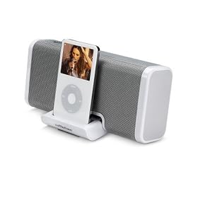 Audio system for ipod