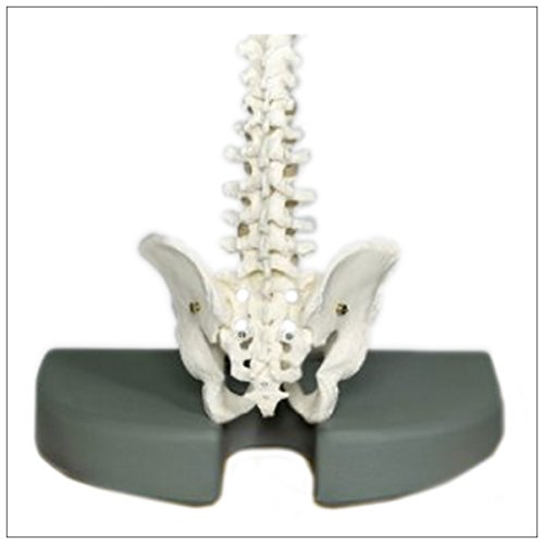 Dog ramps for land rovers, car seat cushion for herniated disc exercises