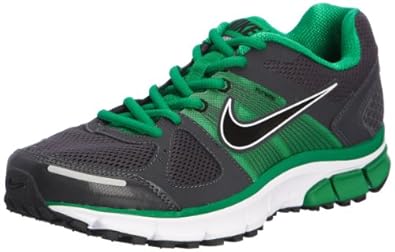 nike pegasus 2012