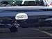 TFP 620 Chrome Tailgate Handle Insert