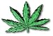 MARIJUANA LEAF Iron On Jacket Patch