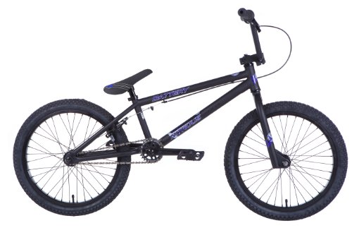Eastern Battery BMX 20