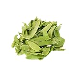 Seeds of Change S11079 Certified Organic Oregon Giant Snow Pea