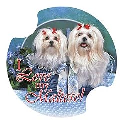 Maltese Carsters, Coasters for Your Car