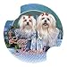 Maltese Carsters, Coasters for Your Car