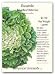 Escarole Broadleaf Batavian Seed