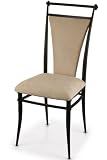 Review Home Decorators Collection  / Cierra Set Of 2 Dining Chairs Black Fawn