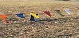 100' Pennant Streamer