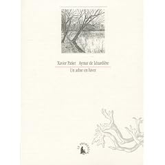 Arbre en hiver