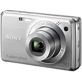 Sony Cyber-shot DSC-W290 12.1 MP Digital Camera with 5x Optical Zoom and Super Steady Shot Image Stabilization (Silver)