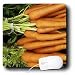 Florene Food And Beverage - Cute As A Carrot - Mouse Pads