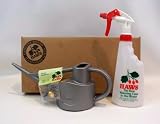 Haws Indoor Watering Gift Kit