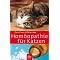 katzen f�r anf�ngerinnen
